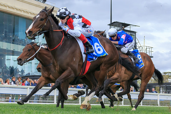 Vinery Yearling Graduate Sepals Wins The G1 Sir Rupert Clarke Stakes - Image Grant Courtney