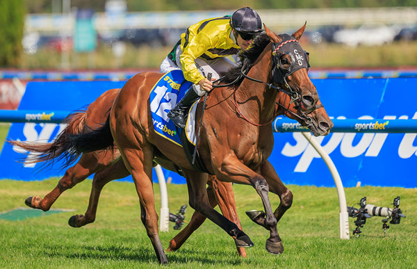 Magnus Filly Streisand Gave Trainer Clinton McDonald His Second Blue Diamond Win In Three Years - Image Grant Courtney