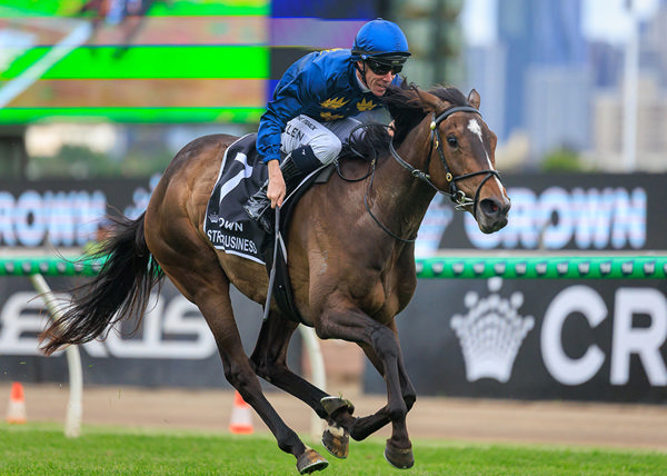 Just 13 Days From Maiden Victory To G1 VRC Oaks Win For Strictly Business - Image Grant Courtney