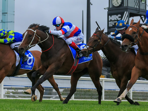 Smart Missile Mare Aviatress Secures Her Third Black Type Victory - Image Grant Courtney