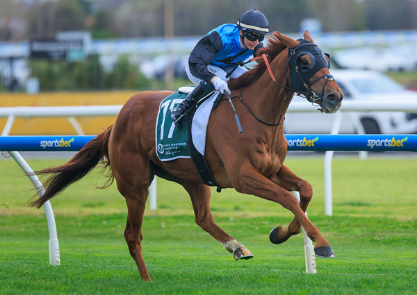 Caulfield Cup Bound Half Yours Looked Impressive Winning The G3 Naturalism Stakes - Image Grant Courtney