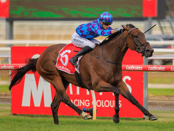 Jenni The Fox Secured A Valuable First Stakes Victory - Image Grant Courtney