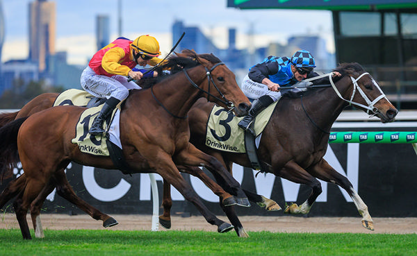 Lazzura Holds Off Oh Too Good To Win The G2 Let's Elope Stakes - Image Grant Courtney