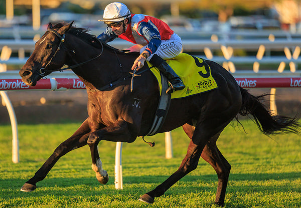 Metalart Wins The Group 3 W J Healy Stakes For Kelly Schweida - Image Grant Courtney