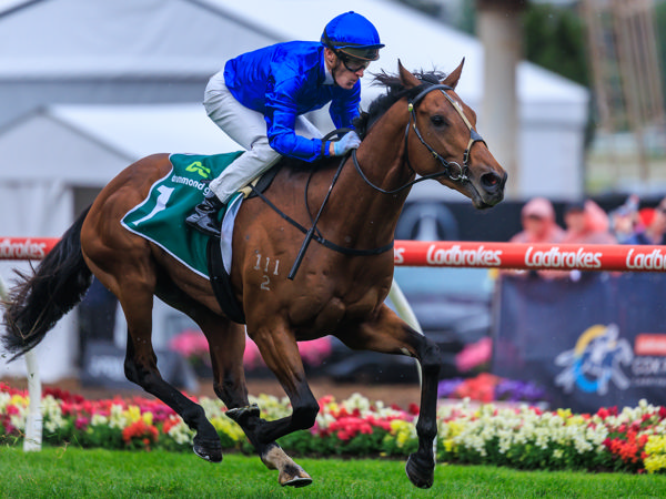 VRC Derby Favouritism To Observer After His G2 Vase Win - Image Grant Courtney