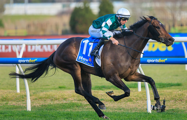 Memsie Stakes Victory Brings Up Fourth G1 Win For Treasurethe Moment - Image Grant Courtney