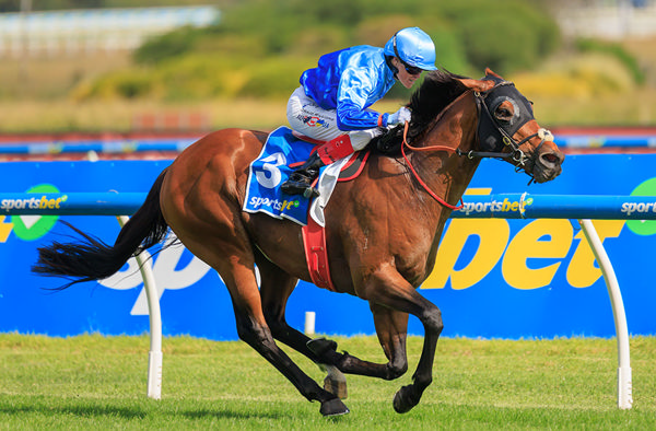 Stallion Prospect Of The Future As Tropicus Wins G1 Oakleigh Plate - Image grant Courtney