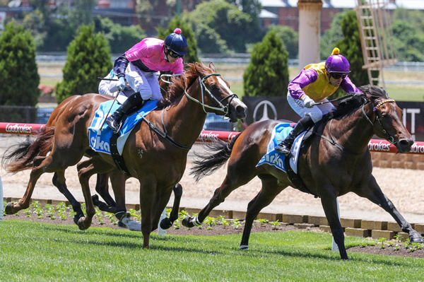 Raetihi staves off the challenge of Cradle of Life to score at The Valley Photo: Bruno Cannatelli 