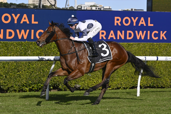 Raging Force bolts in at Randwick - image Bradley Photography
