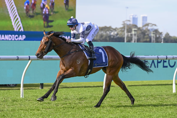 Raging Force has won three in a row - image Bradley Photography 