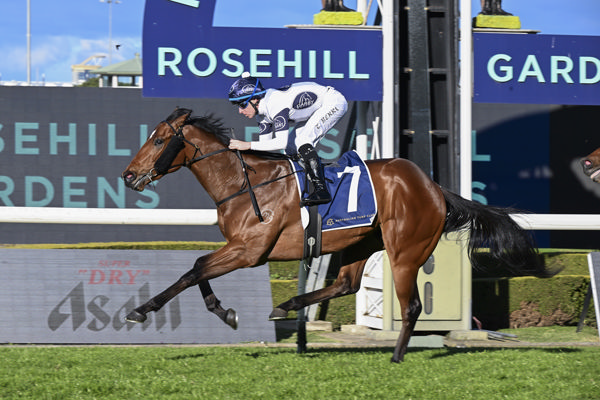 Raging Force wins the G3 San Domenico  - image Bradley Photography