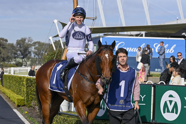 Raging Force will be eyeing up stakes races next season - image Bradley Photography 