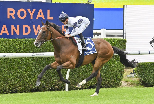 Raikkonen wins by daylight at Randwick - image Bradley Photography