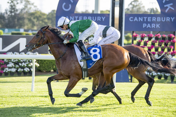 I Am Invincible Filly Rajwa Breaks Her Maiden In Style - Image Bradley Photos