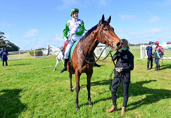 Rapid Achiever - image Brendan McCarthy / Racing Photos