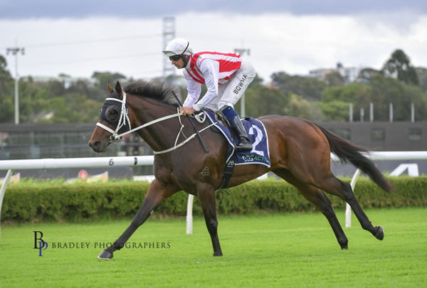 Rapids was purchased on Inglis Digital for $35,000, click to see his sale page. 