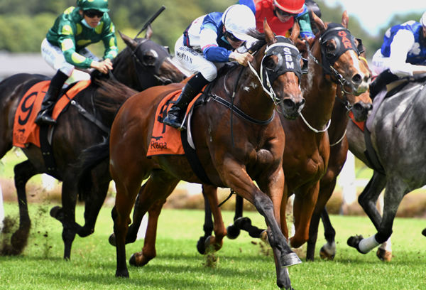 Raposa Rapida proves too good in the Listed Legacy Lodge Sprint (1200m) at Te Rapa Photo Credit: Race Images – Kenton Wright
