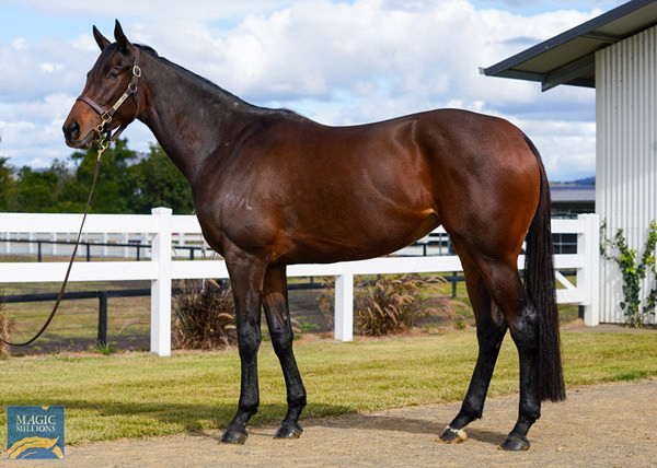 Rayjen is a G3 placed winner of over $170,000.