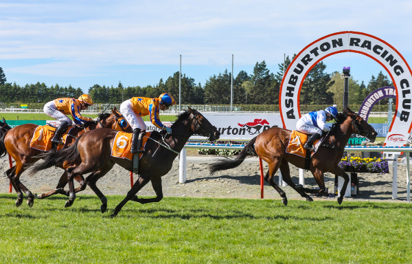 Raziah winning the Gr.3 Barneswood Farm Stakes (1600m) at Ashburton on Saturday.  Photo: Race Images South