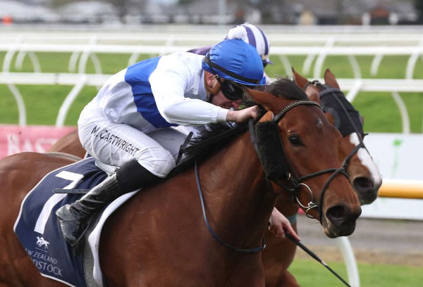 Raziah winning Saturday's Listed New Zealand Bloodstock Canterbury Belle Stakes (1200m) at Riccarton Park.  Photo: Race Images South