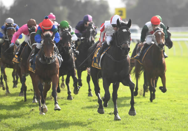 Read About It and Craig Grylls kick clear of their rivals to win Saturday’s Listed Phil’s Electrical & Gipsy Caravans Ryder Stakes (1200m) at Otaki.   Photo: Peter Rubery (Race Images Palmerston North)