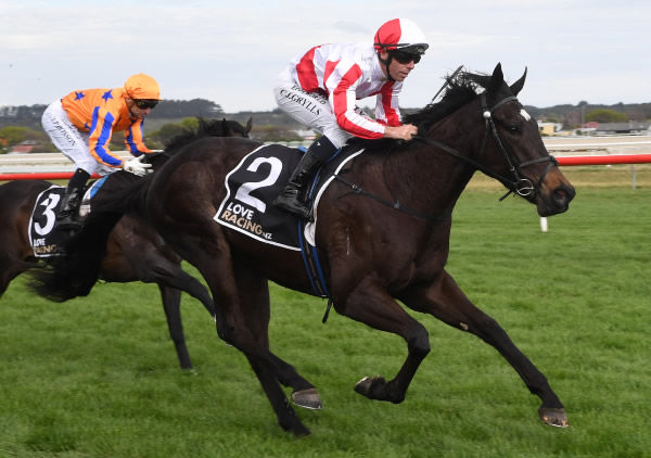 Read About It wins the Wanganui Guineas- Photo: Peter Rubery (Race Images Palmerston North) 