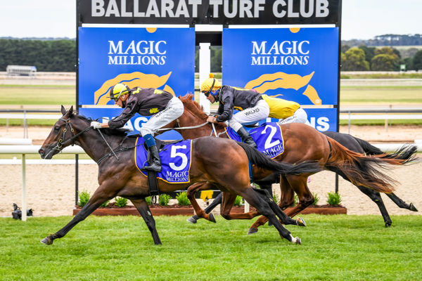 Readily Availabull wins the $250,000 MM Clockwise Classic - image Racing Photos.