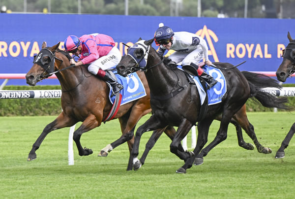 Recommendation in the pink holds off Insurrection to win the Razor Sharp - image Steve Hart 