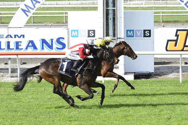 Reconvene (outside) will contest the Listed Phils Electrical and Gipsy Caravans Ryder Stakes (1200m) at Otaki on Saturday.   Photo: Kenton Wright (Race Images)