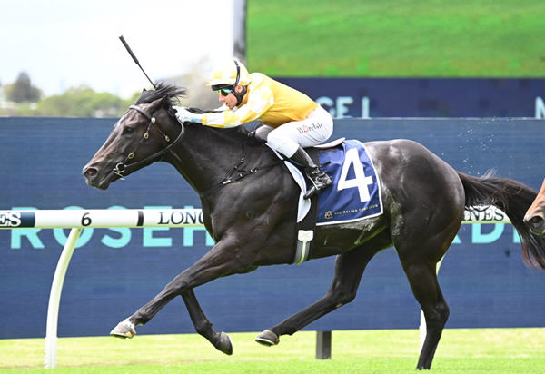 Red Resistance wins a strong 2YO race at Rosehill - image Steve Hart