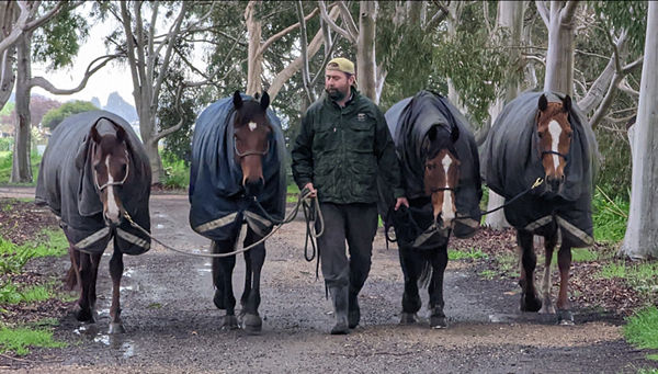 The Red Trinket family from left to right - Cause Celebre, Approach, Red Trinket and Free to Roam.