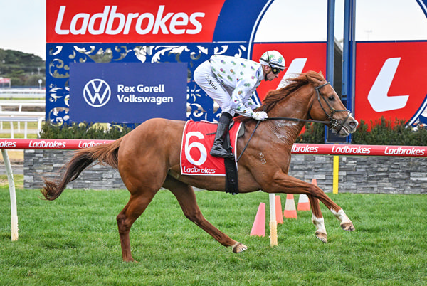 Redders salutes at Geelong - image Reg Ryan / Racing Photos 