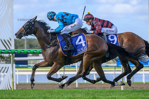 Redford wins at the Gold Coast - image Magic Millions