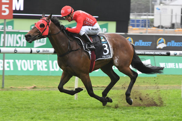 Redzel was last in the Run to the Rose as a colt, but became a superstar as a gelding!