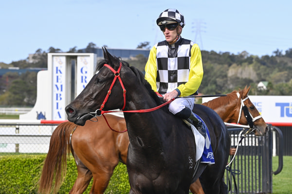 Reflect is from the same family as Mr Brightside and Ka Ying Rising! - image Bradley Photography 
