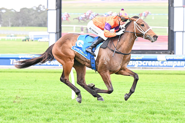 Ole Kirk 3yo Regal Award Broke His Maiden By Two Plus Lengths At Sandown - Photo by Pat Scala/Racing Photos