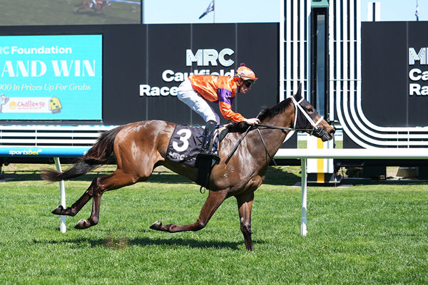 Super Impressive Victory At Caulfield For Ole Kirk's Regal Award - Image Scott Barbour/Racing Photos