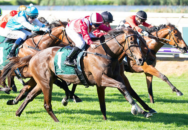 Regal Power wins the G1 Kingston Town Stakes beating Western Empire - image Western Racepix