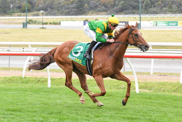 Rgela Zeus bolts in by four to win the Listed Kilmore Cup - image Brett Holburt/ Racing Photos