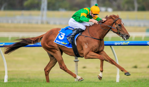 Regal Zeus dashes away to win the Lord Stakes - image Grant Courtney
