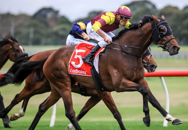 Regardsmaree wins the Listed Anniversary Stakes - image Grant Courtney