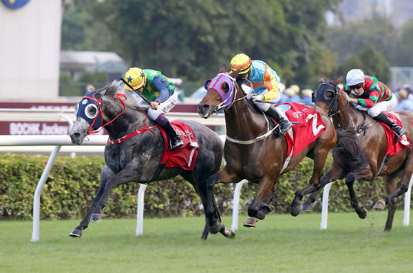 Reliable Team runs in the G1 HK Vase - image HKJC