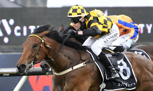 Exciting juvenile Remala winning the Horizon By SkyCity 1100 at Ellerslie on Boxing Day.   Photo: Kenton Wright (Race Images) 