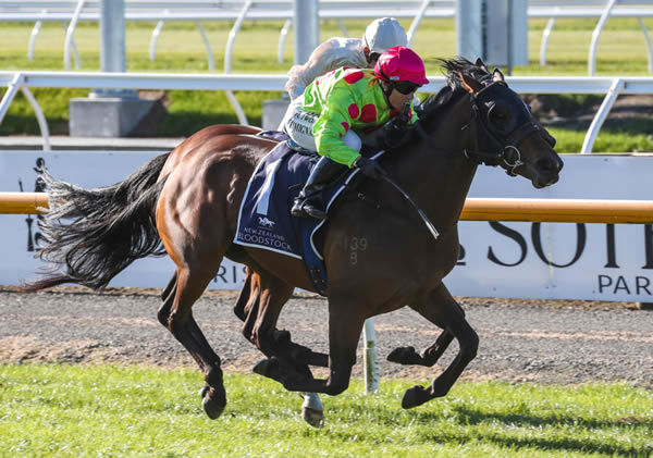 Reputabelle wins her fourth race in a row as she takes out the Listed NZB Insurance Stakes (1600m) at Riccarton Photo Credit: Race Images South