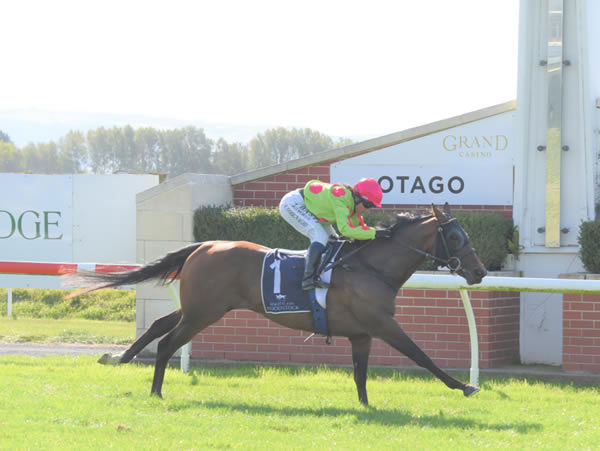 Reputabelle dashes away with the Listed NZB Airfreight Stakes (1400m) at Wingatui Photo Credit: Tayler Strong