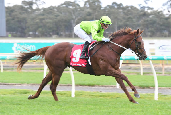 Reserve Bank bolts in at Bendigo  - image Bret Holburt / Racing Photos