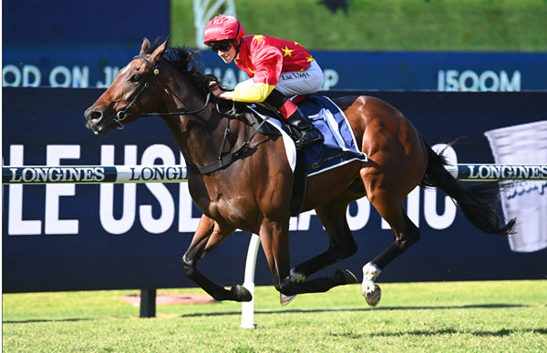 Resonator wins at Rosehill and is for sale - image Steve Hart