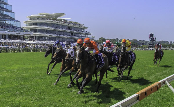 Revolutionary Miss zooms up the fence to victory - image Grant Courtney 