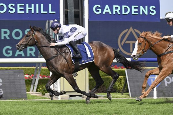 Revengeance wins the $1million Golden Gift - image Bradley Photos