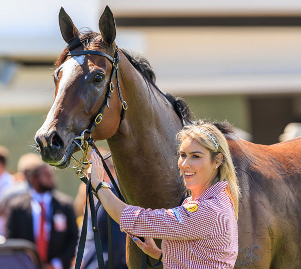 Revolutionary Miss basks in that winning glow - image Grant Courtney 